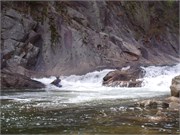Wilsons Creek 201